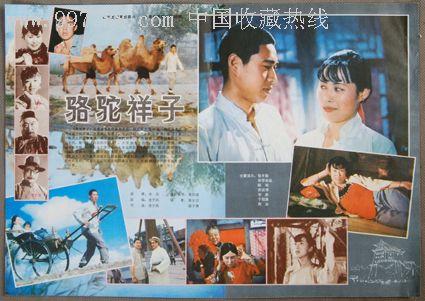 锡耶纳大学Accounting Diploma